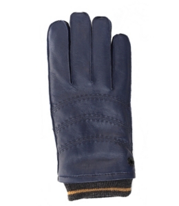 Panas Gloves
